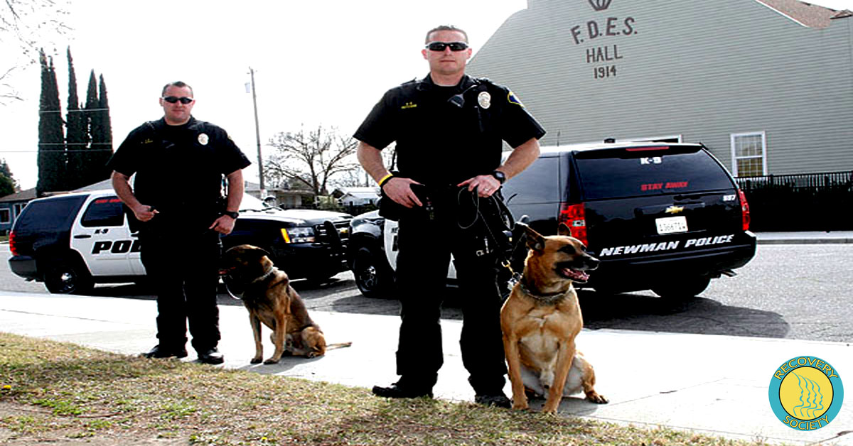 k9 dogs